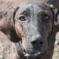 Thumbnail photo of George #3