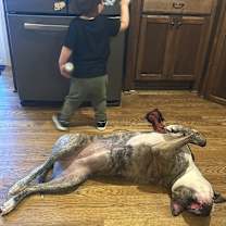 Thumbnail photo of Daisy #3