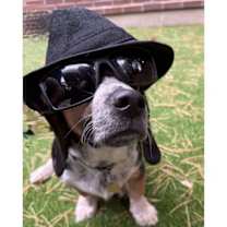 Thumbnail photo of Jake #4