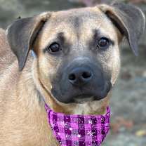 Thumbnail photo of Zoe #3