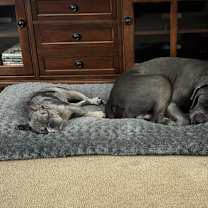 Thumbnail photo of Apollo #4