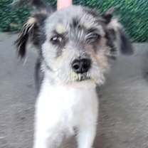 Thumbnail photo of 59852327 #1