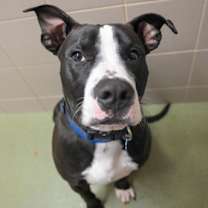 Thumbnail photo of Junior #3