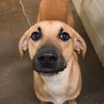 Thumbnail photo of Wyatt #2