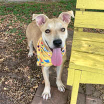 Thumbnail photo of Janet 25-11-099 #4