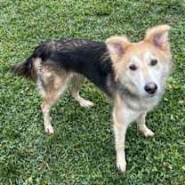 Thumbnail photo of Lucy 2025 #2