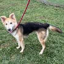 Thumbnail photo of Lucy 2025 #3