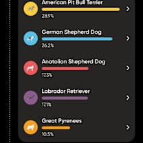 Thumbnail photo of Phoebe - Foster to Adopt #3