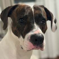 Thumbnail photo of Sunny #3