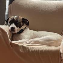 Thumbnail photo of Sunny #4