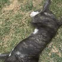 Thumbnail photo of Bane #3