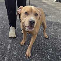 Thumbnail photo of Kacey #4