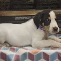 Thumbnail photo of Vera #2