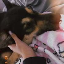 Thumbnail photo of stark #1