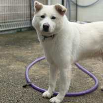 Thumbnail photo of Yeoreum #1