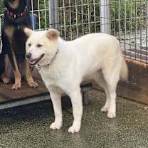 Thumbnail photo of Yeoreum #3