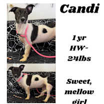 Thumbnail photo of Candi #1