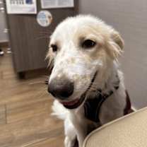 Thumbnail photo of Pixel HTX #2