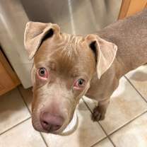 Thumbnail photo of Kane #3