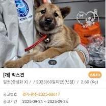 Thumbnail photo of Samsoon #4