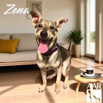 Thumbnail photo of Zena #3