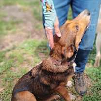 Thumbnail photo of Henna #4