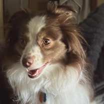 Thumbnail photo of Ellie #2