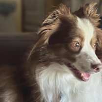 Thumbnail photo of Ellie #4