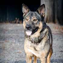 Thumbnail photo of Big Mama #4