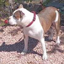 Thumbnail photo of Texas #2