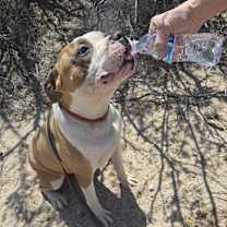 Thumbnail photo of Texas #3