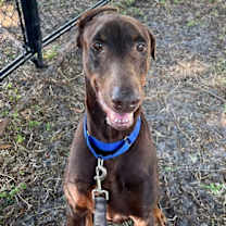 Thumbnail photo of Sway 3498 #1