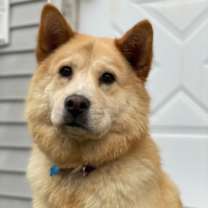 Thumbnail photo of Marley #1