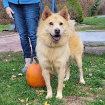 Thumbnail photo of Marley #3