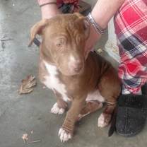 Thumbnail photo of Logan #3