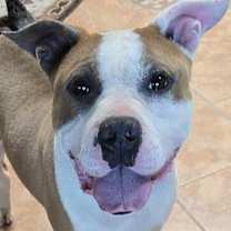 Thumbnail photo of Texas #1