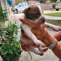 Thumbnail photo of Paris #2