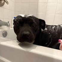 Thumbnail photo of Fanny #3