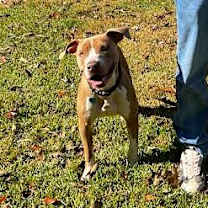 Thumbnail photo of Toast #2