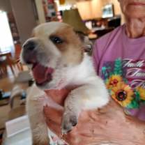 Thumbnail photo of Cali #2