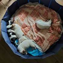 Thumbnail photo of Paris #3