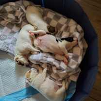 Thumbnail photo of Paris #4