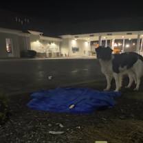 Thumbnail photo of Luna #3