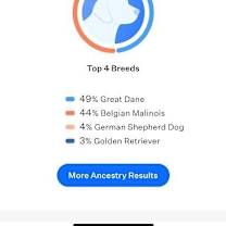 Thumbnail photo of Sparrow's Falcon (Orange) #2
