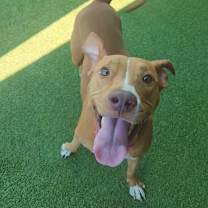 Thumbnail photo of Margarita #2