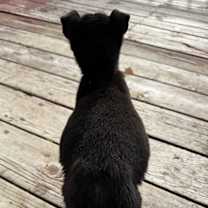 Thumbnail photo of Zaida #3