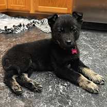 Thumbnail photo of Zaida #4