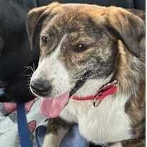 Thumbnail photo of Tina #1