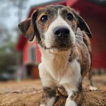 Thumbnail photo of Tina #2