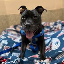 Thumbnail photo of SASSY #2